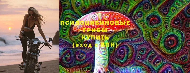 Псилоцибиновые грибы Psilocybine cubensis  кракен tor  Воркута 